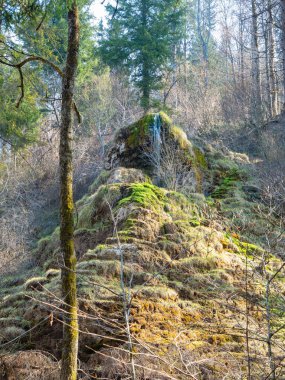 İsviçre 'nin Zürih çevresindeki tepelerde bulunan Tuefels Chilen şelalesi tortu yapısıyla ünlüdür..