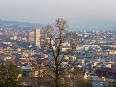 Ünlü bakış açısıyla öğleden sonra güneşinin batışında durum: İsviçre 'nin Zürih kentinin muhteşem manzarası. Ön planda güzel bir ağaç.