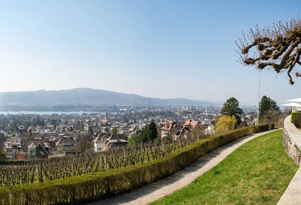 İsviçre 'nin Zürih şehrinin yukarısında popüler bir yer olan Sonnenberg' den inanılmaz bir manzara. Göl kenarındaki üzüm bağlarının üzerinde panorame.