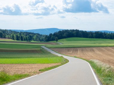 Almanya 'daki Kara Orman, kırsal ve tarımsal alanlardan geçen bir köy yolunun bulunduğu kırsal bir arazi sunuyor..