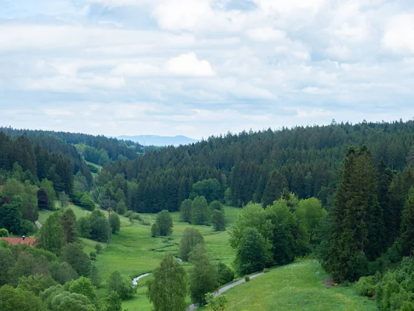 Black Forest Germany Offers Beautiful Rural Landscape View Hills Typically — стокове фото