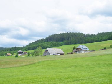The black forest, Germany, offers traditional cultural landscapes. Situation with three typical farming houses situated between hills covered with coniferous forests and meadows.