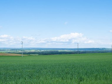 The black forest, Germany, offers a beautiful rural landscape. View over the hills typically covered with coniferous forests and fields.