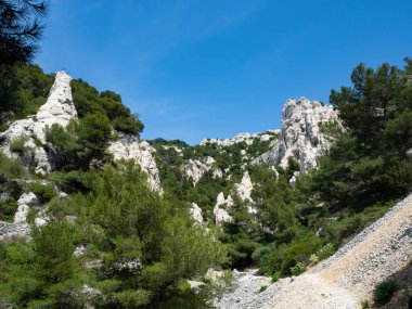 Calanques Ulusal Parkı Akdeniz 'in yukarısındaki uçurumlar boyunca güzel yürüyüş yolları sunar.. 