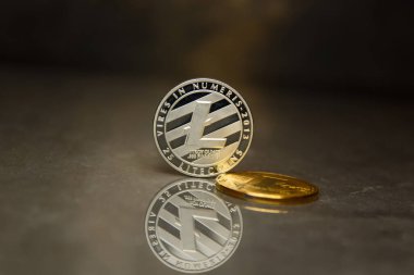 Yansıtıcı yüzeyde Gümüş Litecoin