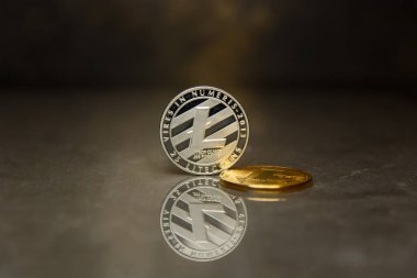 Yansıtıcı yüzeyde Gümüş Litecoin