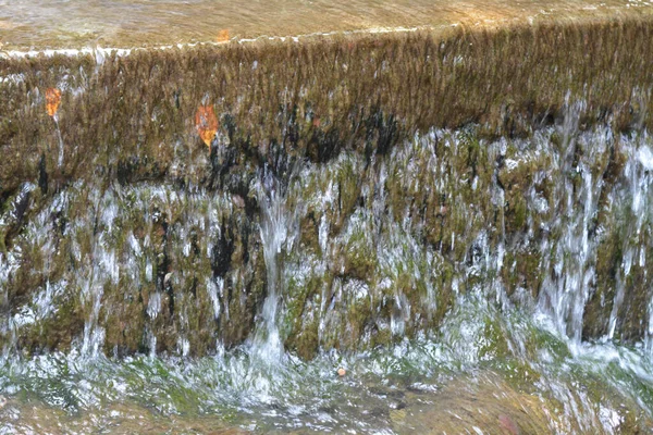 Close up tiro de cachoeira no parque Imagens De Bancos De Imagens