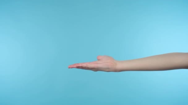 Vrouwelijke uitgestrekte hand cupped gebaar — Stockvideo
