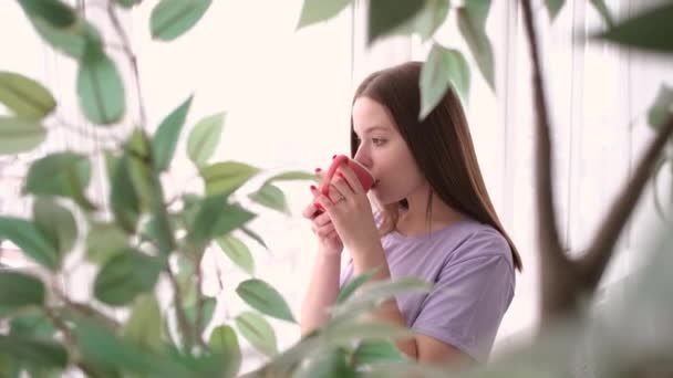 Flicka kaffedrickande vid fönstret — Stockvideo