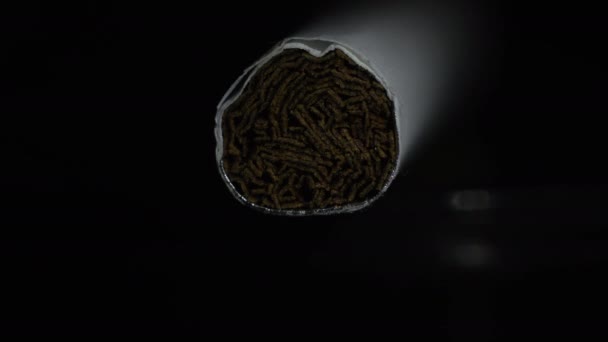Sigarette con le foglie di tabacco tritate — Video Stock