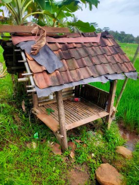 Pirincin içinde küçük bir bina, Endonezya 'da çiftçilerin dinlenebileceği bir yer.