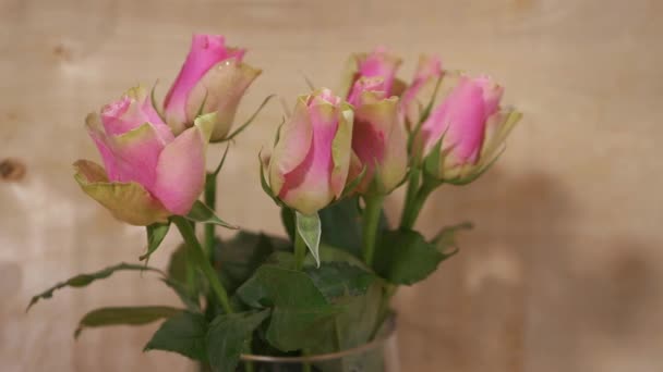 Stelletje roze rozen op houten ondergrond — Stockvideo