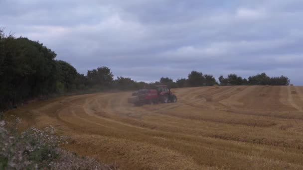 A szénabálákkal ellátott traktor betakarítás után áthajt a mezőgazdasági területen — Stock videók
