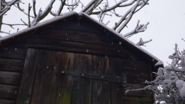 Gamla skrangliga trä skjul på vintern som snö faller — Stockvideo