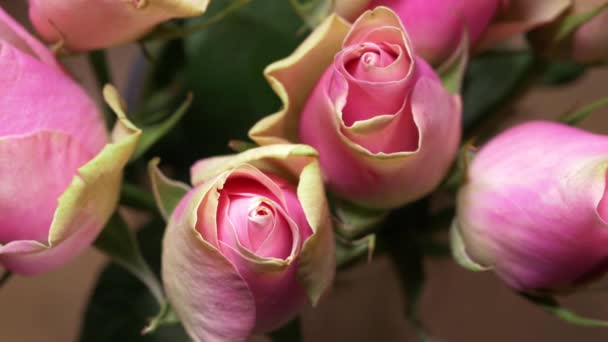 Размещение розовых роз — стоковое видео