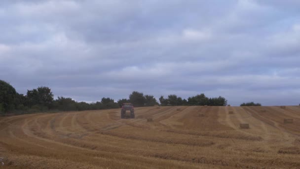 遠くにトラクターと作物の収穫 — ストック動画