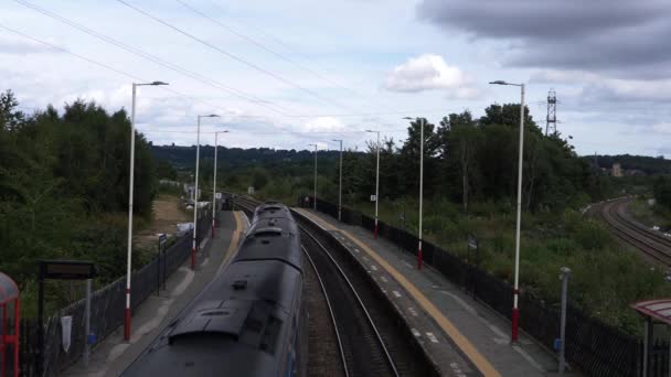 Vonat halad a vasúti síneken kilátás a hídról — Stock videók