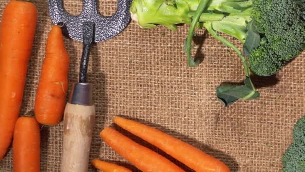 Zanahorias Brócoli Verduras Jardín Sobre Cabeza Deslizante Dolly Shot — Vídeos de Stock