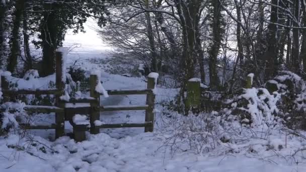 Stile dans les campagnes agricoles en hiver après les chutes de neige — Video