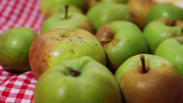 Selección de manzanas verdes frescas para hornear sobre fondo rojo de gingham — Vídeos de Stock
