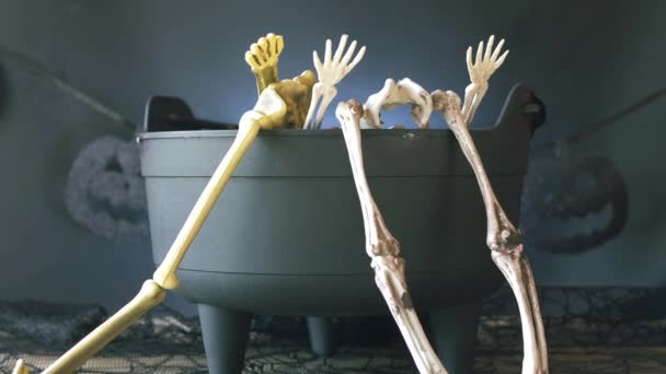 Witches cauldron with bones — Stock Video