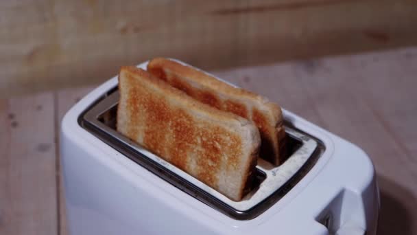 Rebanadas de pan tostado listo en tostadora de cocina — Vídeos de Stock