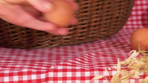 Verse gerechten klaarmaken voor een picknick — Stockvideo