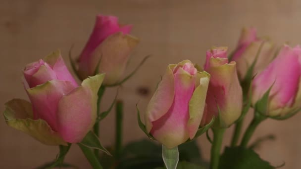 Uspořádání kytice růžových růží ve váze — Stock video