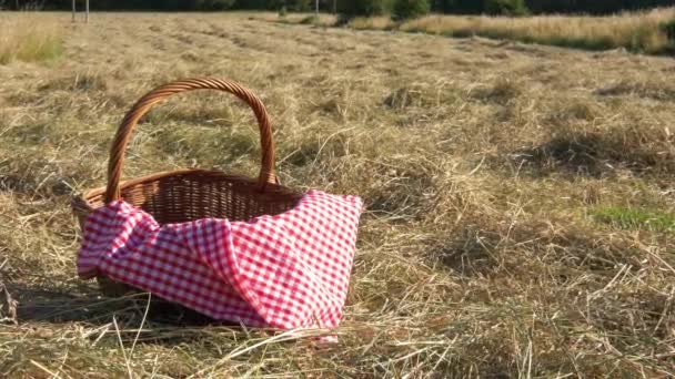 Cesta de picnic y tela de jengibre roja en campo de agricultores — Vídeo de stock