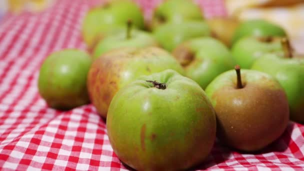 Selección de manzanas verdes frescas para hornear sobre fondo rojo de gingham — Vídeos de Stock