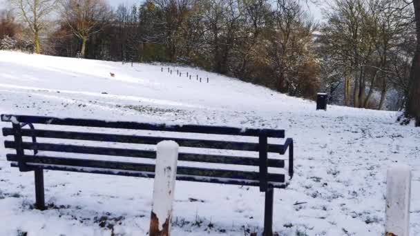 Bänke im leeren Park nach Schneefall im Winter — Stockvideo