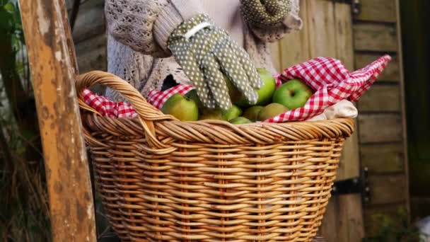 Mujer jardinero recoge manzanas verdes frescas en una cesta — Vídeos de Stock