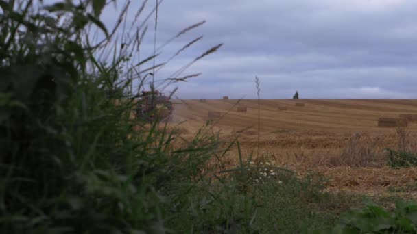 Сельскохозяйственные угодья и трактор после летнего сбора урожая через вид травы — стоковое видео