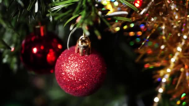 Bola roja de Navidad cuelga de árbol decorado — Vídeo de stock