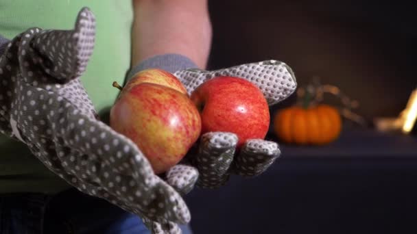 Jardinero sosteniendo cosecha de manzana de otoño — Vídeo de stock