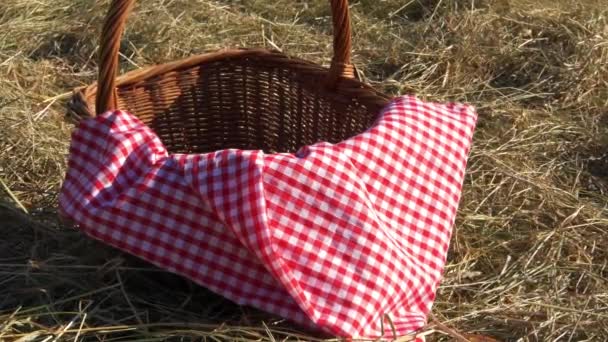 Винтажная корзина для пикника и красное одеяло Джингем в сельской местности — стоковое видео