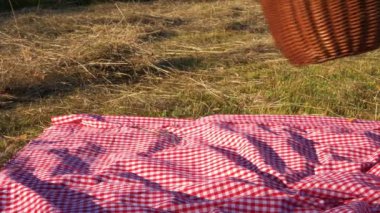 Çimenlerde piknik sepeti ve gingham battaniyesi.