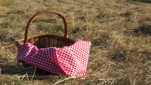 Vintage picknickmand en rode gingham deken geschoten op het platteland — Stockvideo