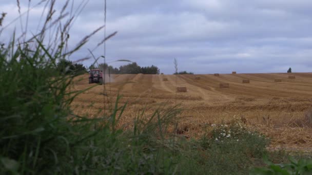 Farmland through view of grass with tractor in the distance — Vídeo de Stock