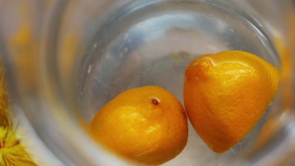 Bir sürahi suda yüzen taze limonlar. — Stok video
