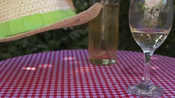 Mesa de picnic y vino blanco en el jardín con cubierta de gingham rojo — Vídeos de Stock