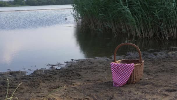 Kosz piknikowy z czerwoną tkaniną gingham nad jeziorem shot — Wideo stockowe
