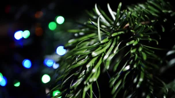 Árbol de Navidad con luces bokeh centelleando en el fondo — Vídeo de stock