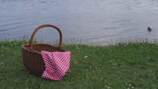 Piknik kosár piros gingham ruhával a tó mellett lövés — Stock videók