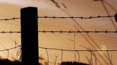 Kadın gün batımında yürüyor arka planda ve dikenli tel örgü siluetinde 