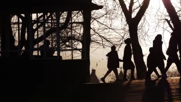 Openbaar park in de schemering met mensen in silhouet genieten van ontspannen winterwandeling — Stockvideo
