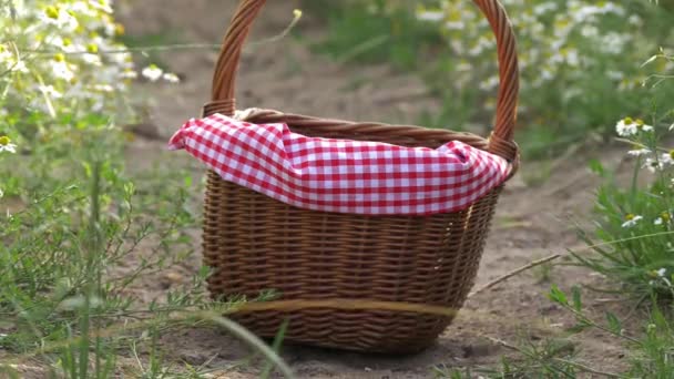 Корзина для пикника в летней сельской местности — стоковое видео
