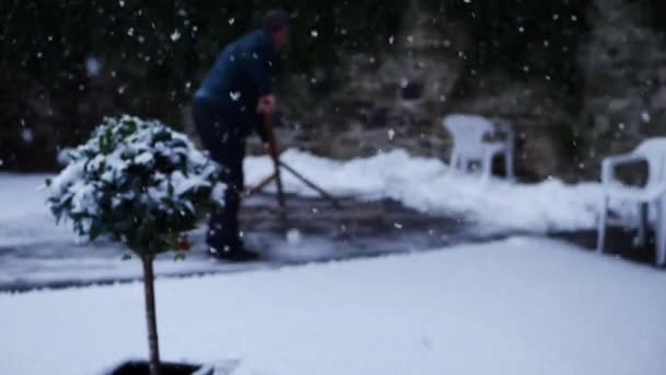 Houx plante de brousse en hiver avec l'homme déneigement en arrière-plan — Video