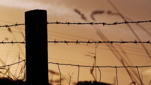 Pôr do sol fundo e arame farpado cerca silhueta — Vídeo de Stock