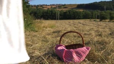 Piknik sepeti ve kırmızı pamuklu battaniyeli kadın.